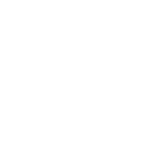 new york times logo