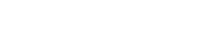wealth experts logo